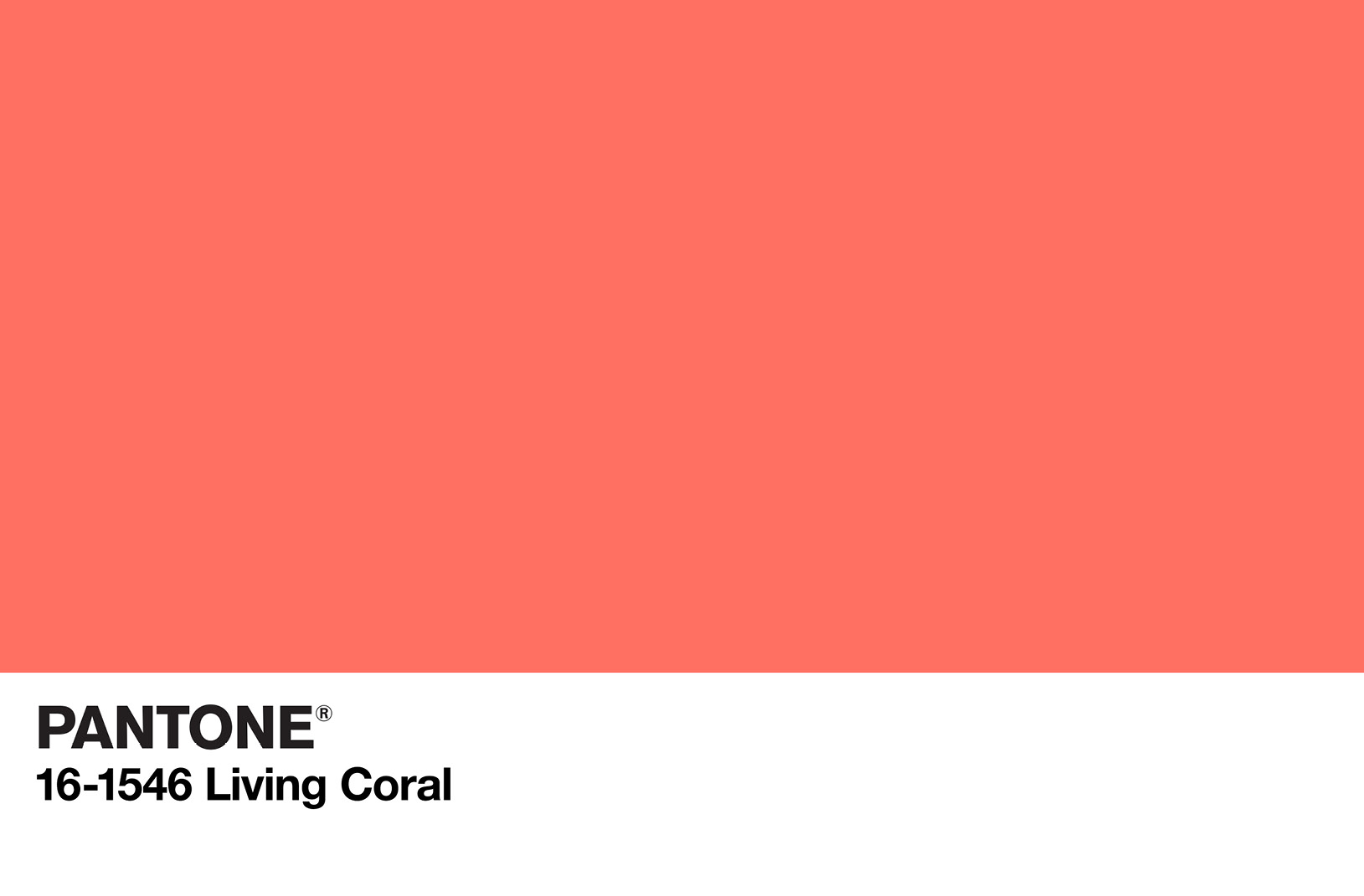 color of the year4