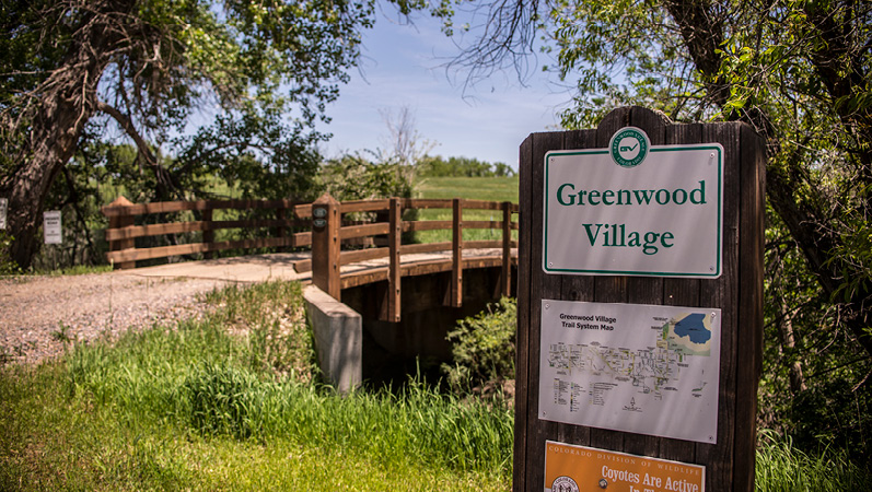greenwood village real estate
