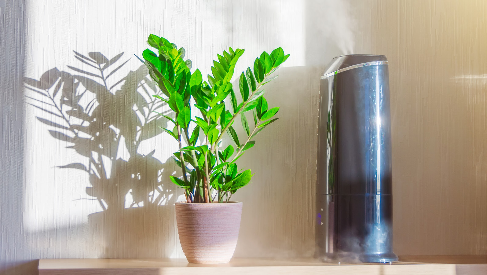 why you need a humidifier in colorado